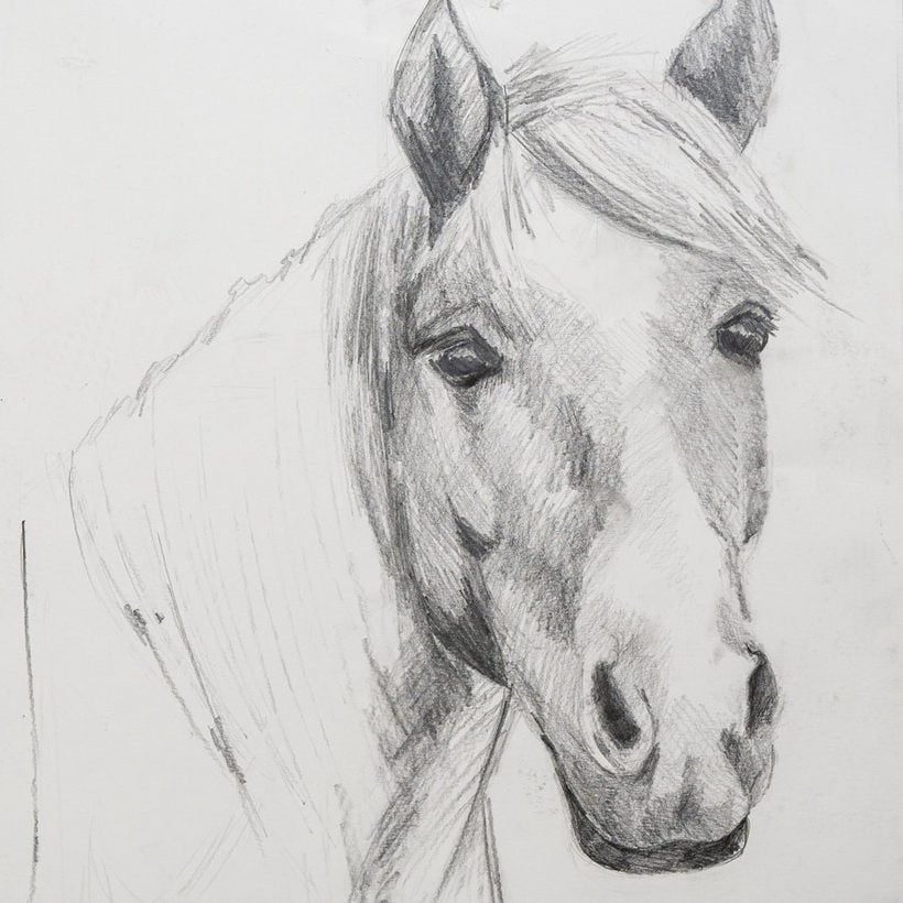 The graphite horse project