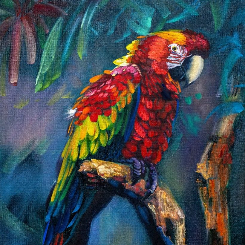 Oil bird, one of the five Challenge projects